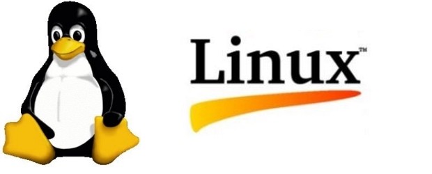 Feature-Linux-logo-and-mascot-620x250.jpg
