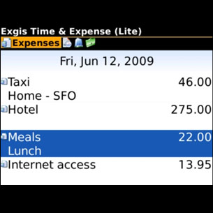 Best: Exgis Time and Expense Lite