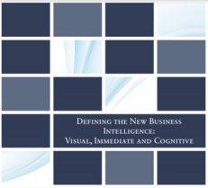 Defining the New Business Intelligence: Visual, Immediate and Cognitive
