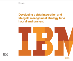 Developing a data integration and lifecycle management strategy for a hybrid environment