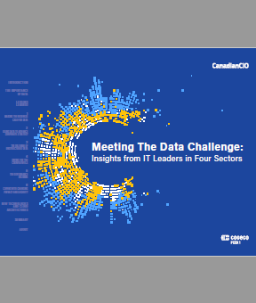 Meeting The Data Challenge: Insights from IT Leaders in Four Sectors